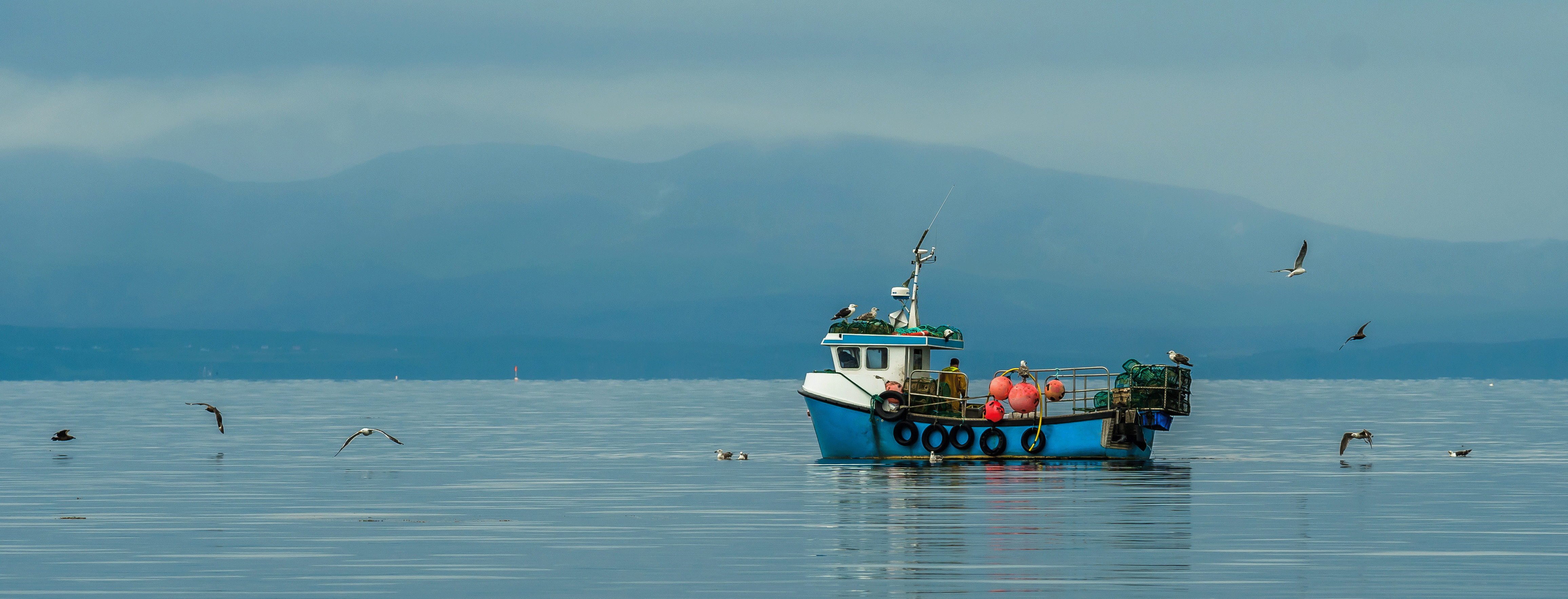 Commercial Fisheries